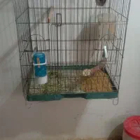 قفس|لوازم جانبی حیوانات|سبزوار, طبرسی (جعفرآباد)|دیوار