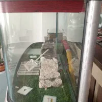 اکواریوم فروشی