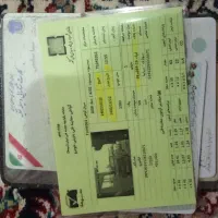 مدارک پیدا شده