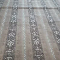 موکت|موکت|بجنورد, |دیوار