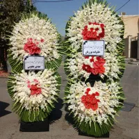 ارسال به تمام نقاط ورامین تاجگل
