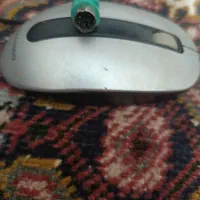 موس سالم درحد نو