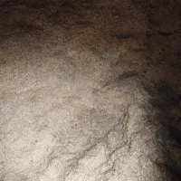 کاه گندم موجوداست