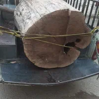 خریدار چوب باغی