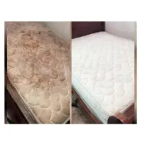 شست شوی مبل،فرش و موکت|خدمات نظافت|اهواز, کیانپارس |دیوار