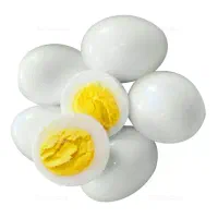 پخش تخم مرغ