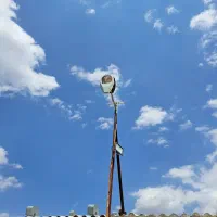 نیروی مرغداری