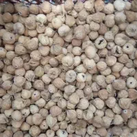 انجیر صد یک اعلا استهبان|خوردنی و آشامیدنی|شیراز, پارک آزادی|دیوار