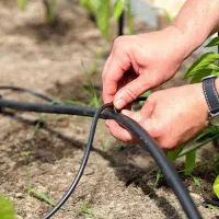 نصب و طراحی آبیاری قطره ای