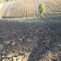 زمین کشاورزی دیم