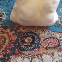 روغن گوسفند مسکه
