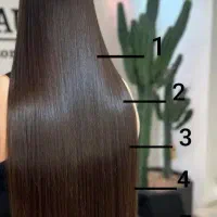 تخفیف پنجاه درصدی پروکراتین هیدروکراتین