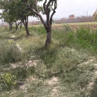 زمین-ویلایی-نزدیک-امکانات-شهری-سردرود-باغ-معروف