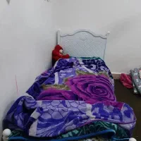 تخت