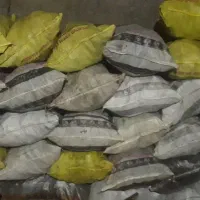 کارگاه تولید ذغال کبابی