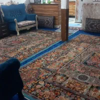 خانه|اجارهٔ آپارتمان|شال, |دیوار