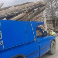 خریدار انواع چوب بابالاترین قیمت