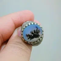 شجر قائن ( مخراجکاری زمرد)