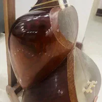 تار با مهر استاد گلستانی|سازهای سنتی|تهران, تهرانسر شمالی|دیوار