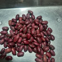 لوبیای چیتی وقرمز وکشاورزی|خوردنی و آشامیدنی|ابهر, |دیوار
