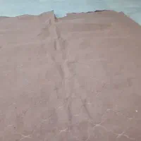 موکت ۱۲متری|فرش|خرمشهر, |دیوار