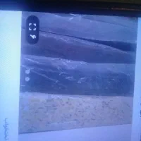 تشک  طبی ۱نفره ریوانت|تشک تختخواب|خرم‌آباد, |دیوار