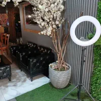 گلدان و درخچه تزئینی