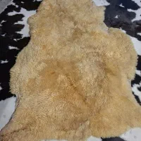 پوست درجه یک