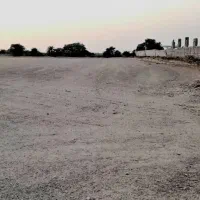 فروش زمین کشاورزی دامپروری|فروش دفتر صنعتی، کشاورزی، تجاری|اهواز, زیتون کارمندی|دیوار