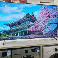 تلویزیون ۶۵ اسنوا اقساطی