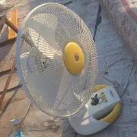 فروش توافقی|فرش|بروجرد, |دیوار