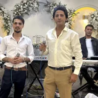 موسیقی زنده،موزیک،خواننده