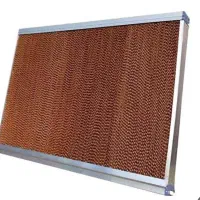 کولپد سلولزی