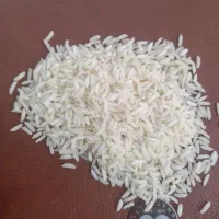 برنج هاشمی و طارم الک و سورتینگ زده شده اعلا گیلان