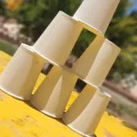 ظروف کاغذی|ظروف نگهدارنده، پلاستیکی، یک‌بارمصرف|شهریار, شهریار|دیوار