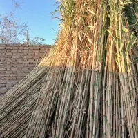 نی دسته بندی شده