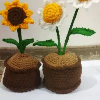 گلهای  بافتنی زیبا