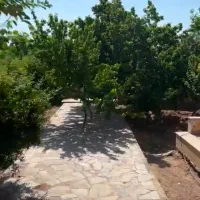 تمییزکار باغ تمام وقت فقط اتباع مجاز