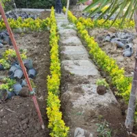 متخصص خدمات گل و گیاه باغبانی گلکاری