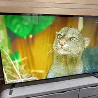 تلوزیون LED الجی 55 هوشمند 4K بدون قاب