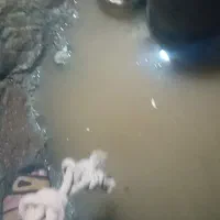 روستای مقنی استان یزد در خدمت هستیم