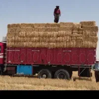 پرس کلش گندم