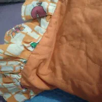 لوازم گربه و سگ