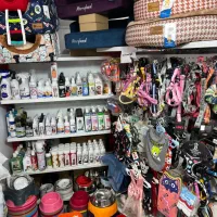 سرلاک اوشکایا مینا عروس هلندی دان مخلوط اسباب بازی|لوازم جانبی حیوانات|مشهد, گلبرگ|دیوار