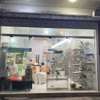 مغازه ۳۰ متری در جماران|فروش مغازه و غرفه|رشت, جماران|دیوار