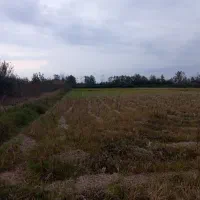 زمین کشاورزی سنتی