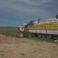 فروش کاه یونجه سبوس برنج