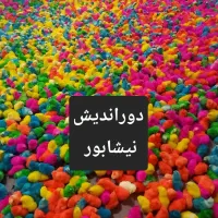 جوجه رنگی خوش رنگ (( ارسال از نیشابور ))