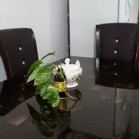 فروش میز نهارخوری