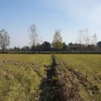 زمین-کشاورزی